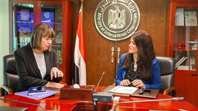 «المشاط» تبحث ملفات التعاون المشترك مع المنسق المقيم لبرنامج الأمم المتحدة في مصر