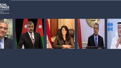 المشاط: 484 مليون دولار تمويلات تنموية للربط الكهربائي بين مصر والسعودية