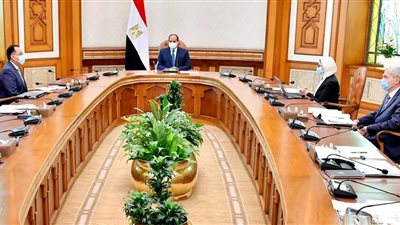 السيسى يتابع تطورات المشروع القومى لتجميع وتصنيع مشتقات البلازما