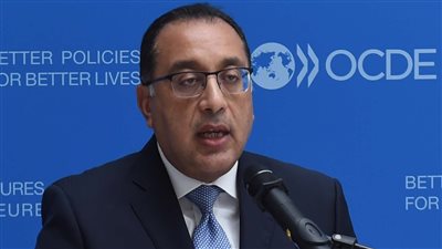 مدبولي: البرنامج القُطري سيساعدنا على الاستمرار في الإصلاح الاقتصادي والاجتماعي