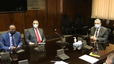 وزير الكهرباء يبحث سبل دعم الوكالة الدولية للطاقة المتجددة لمؤتمر «COP27» 