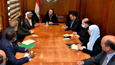 وزيرة التجارة: نقدم الدعم للمشروعات الاستثمارية العربية والعالمية بالسوق المصرية