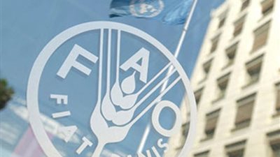 الأمم المتحدة تحذر من ضعف الإنتاج الزراعي في إفريقيا بسبب 