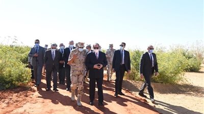 السيسي يتفقد منطقة توشكي بأسوان ويشهد بدء موسم حصاد القمح