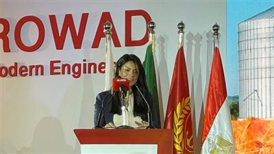 المشاط: 538 مليون دولار من شركاء التنمية لتنفيذ مشروعات الأمن الغذائي