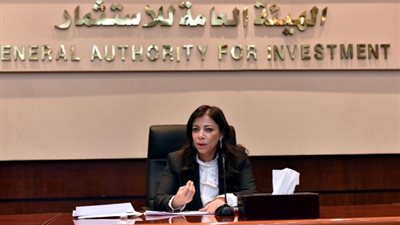 داليا خورشيد: الحكومة تسعى لتعزيز المنظومة التشريعية لحماية الاستثمارات بكل أنواعها