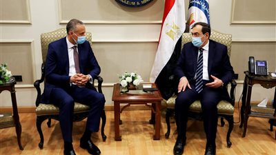 «هني ويل» تستهدف استثمار 200 مليون دولار بالبتروكيماويات والوقود الأخضر في مصر