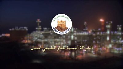 الشركة 