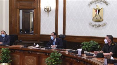 رئيس الوزراء يستعرض مقترح إنشاء 4 مصانع لإنتاج الجلود فى الروبيكي
