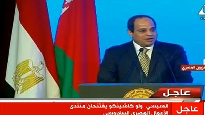 السيسي: التصنيع على رأس مجالات التعاون مع بيلاروسيا