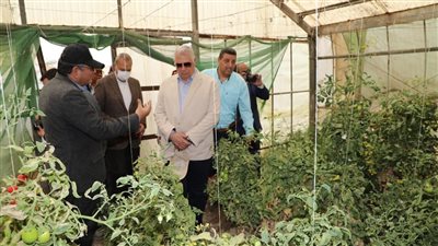 «القصير» و «الهجان» يتفقدان صوب المشروع القومي لإنتاج التقاوي بمدينة قها 