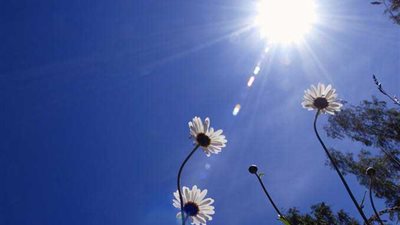 الأرصاد تعلن توقعاتها لحالة الطقس ودرجات الحرارة غدا