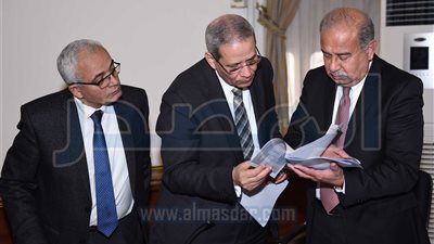 رئيس الوزراء يستعرض نظام 