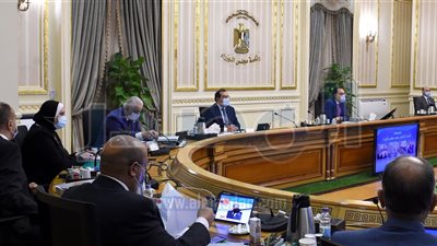 مجلس الوزراء يوافق على ميثاق غاز شرق المتوسط