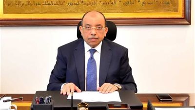 إتاحة 6.4 مليون جنيه لصندوق التنمية المحلية لتنفيذ مشروعات لـ 3 آلاف سيدة 