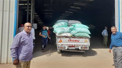 «التموين» تعلن انتظام العمل بجميع مواقع استلام الأقماح المحلية 