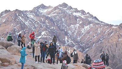 سانت كاترين تستقبل 227 سائحا