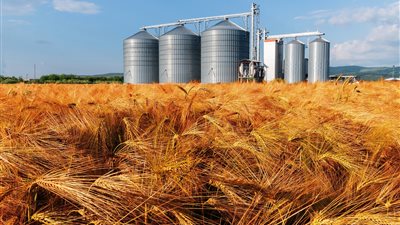 «الزراعة»: تخزين 5.6 ملايين طن من القمح في الصوامع الجديدة