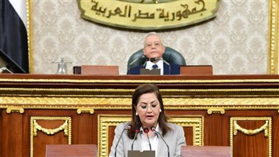 وزيرة التخطيط: 93.5 مليار جنيه استثمارات مُوجّهة لقطاع الصناعة التحويلية