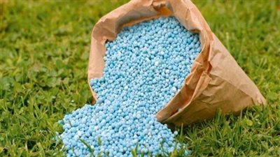 «التصديري للأسمدة» يُنظم بعثة تجارية إلى البرازيل .. يوليو المقبل