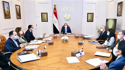 السيسي يوجه باستثناء مستلزمات الإنتاج والمواد الخام من ضوابط الاستيراد