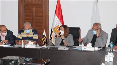 مي عبد الحميد: عمارات خضراء لأول مرة في «سكن لكل المصريين»