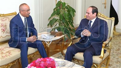الرئيس السيسي يستقبل وزير الداخلية الجزائري