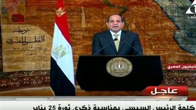  السيسي في ذكرى 25 يناير: عبّرت عن رغبة المصريين في التغيير