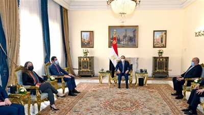 السيسي يبحث تعزيز العلاقات مع البرازيل في مجال الرقابة المالية والمحاسبة