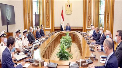 السيسى يبحث مع «ديمى» إقامة محطات لتوليد الطاقة النظيفة فى مصر