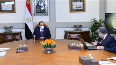 السيسى يوجه بتعزيز جهود تنفيذ مشروعات الربط الكهربائى مع دول الجوار