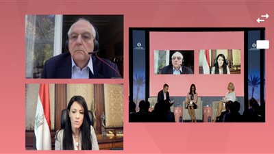 «المشاط» تؤكد أهمية دور بنوك التنمية فى دعم جهود التعامل مع الأزمات