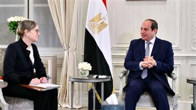 السيسي يؤكد دعم مصر لجهود تحقيق الاستقرار والبناء والتنمية في تونس