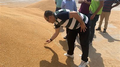رئيس الحجر الزراعي يشرف على فحص وشحن 55 ألف طن قمح هندي إلى مصر