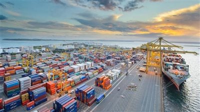 3.1 مليار دولار صادرات مصر الغذائية خلال 9 أشهر