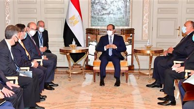 السيسى يبحث مع وزير الطاقة والبيئة اليونانى دعم التعاون المشترك 