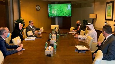 «دبى للاستثمار» تخطط لإنشاء مشروع استثمارى كبير فى مصر