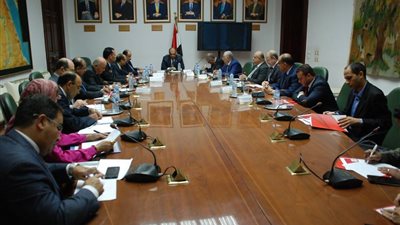 وزير الزراعة يشدد على سرعة الانتهاء من تفعيل منظومة كارت الفلاح 