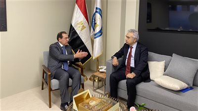 مصر تعد خطة عمل للتعاون مع وكالة الطاقة الدولية قبل «قمة COP27»