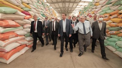 توريد 367 ألف طن قمح لصوامع و ِشون البنك الزراعي المصري خلال شهر