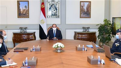 السيسي يوجه بتوسيع نشاط مشروع «مستقبل مصر» للإنتاج الزراعي