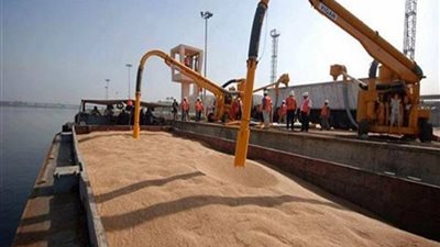 مصر تتعاقد على شراء 60 ألف طن قمح روماني