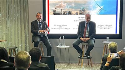 رئيس «اقتصادية قناة السويس» يستعرض مشروعات الاقتصاد الأخصر أمام الاستثمار الإنجليزي 