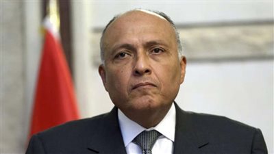 وزير الخارجية المصري يتلقى اتصالاً هاتفيًا من نظيره الأوكراني