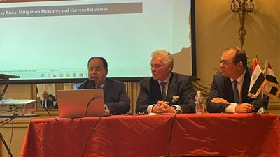 وزير المالية يُحفز الاستثمار الأجنبي في مصر بمزايا أكثر جذبًا لمجتمع الأعمال