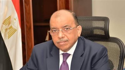 وزير التنمية المحلية يناشد المواطنين بالابتعاد عن الأشجار والأعمدة لسوء الطقس