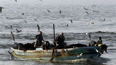 الإفراج عن 101 صياد مصري من المحتجزين في السودان