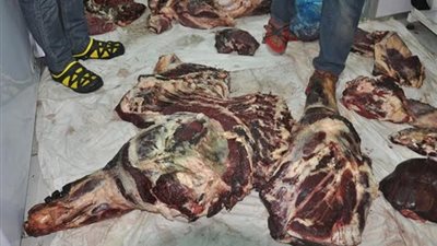 ضبط 31 طنًا و745 كيلو لحوم ودواجن فاسدة في الجيزة