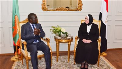 مصر تبحث تنفيذ آليات تحقيق التكامل الصناعي مع زامبيا