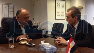 شكري يلتقي برئيس اللجنة الثانية لمؤتمر مراجعة معاهدة منع الانتشار النووي